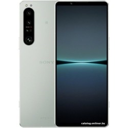 Sony Xperia 1 IV XQ-CT72 12GB/256GB (белый)