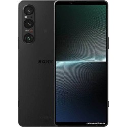 Sony Xperia 1 V 12GB/256GB (черный)