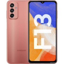 Samsung Galaxy F13 SM-E135F/DS 4GB/64GB (медный)