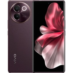 Vivo V30e 12GB/256GB международная версия (кофейный)