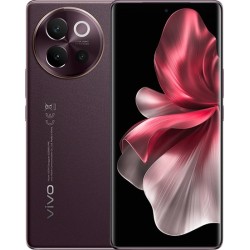 Vivo V40 Lite 5G V2341 8GB/256GB международная версия (классический коричневый)