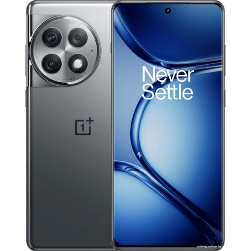 OnePlus Ace 2 Pro 24GB/1TB китайская версия (серый)