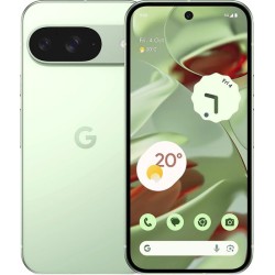 Google Pixel 9 12GB/128GB (винтергрин)