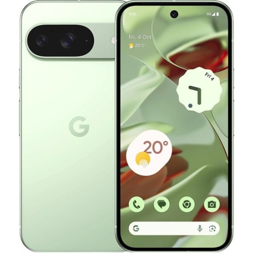 Google Pixel 9 12GB/128GB (винтергрин) Google Pixel 9 12GB/128GB (винтергрин)