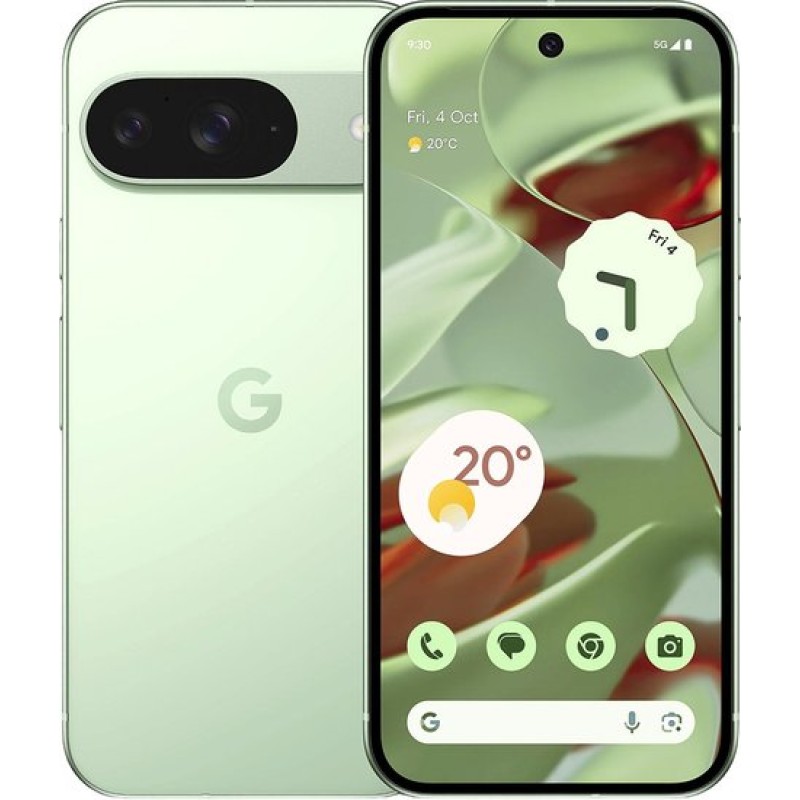 Google Pixel 9 12GB/128GB (винтергрин)