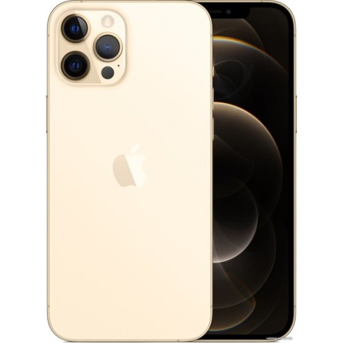 Apple iPhone 12 Pro Max Dual SIM 128GB (золотой) Apple iPhone 12 Pro Max Dual SIM 128GB (золотой)