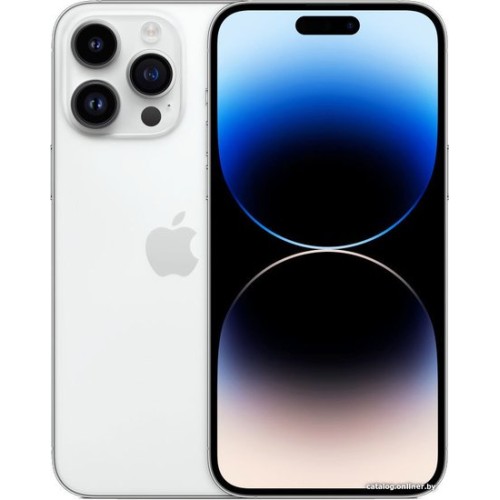 Apple iPhone 14 Pro Max eSIM 256GB (серебристый)