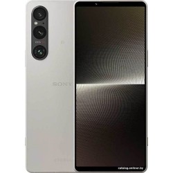 Sony Xperia 1 V 12GB/256GB (платиновое серебро)