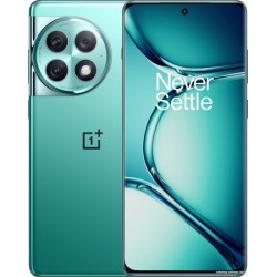 OnePlus Ace 2 Pro 12GB/256GB китайская версия (зеленый)
