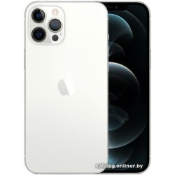 Apple iPhone 12 Pro Max 256GB (серебристый)