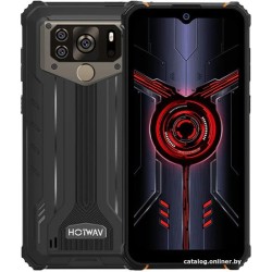 Hotwav W10 Pro 6GB/64GB (серый)